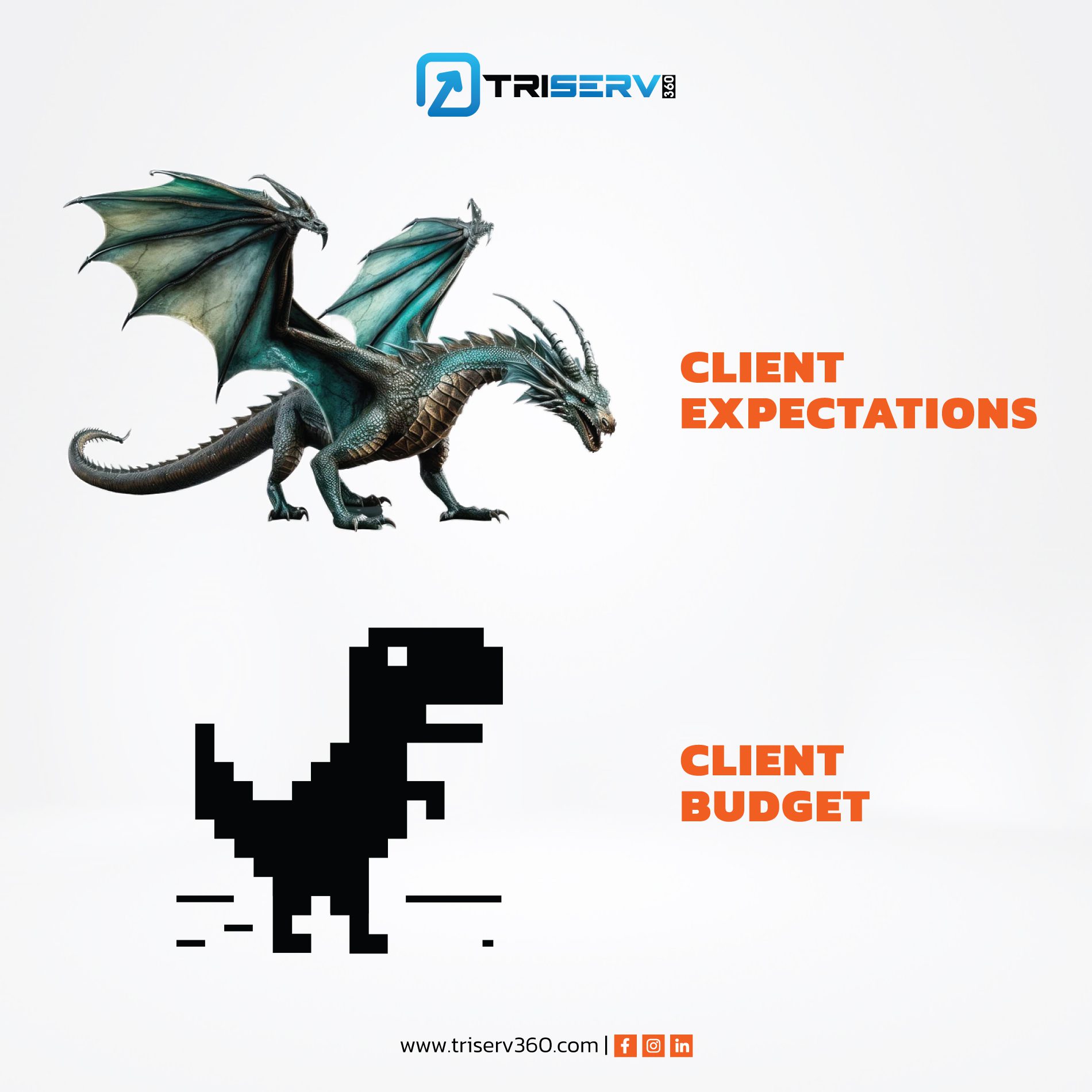Graphic 31