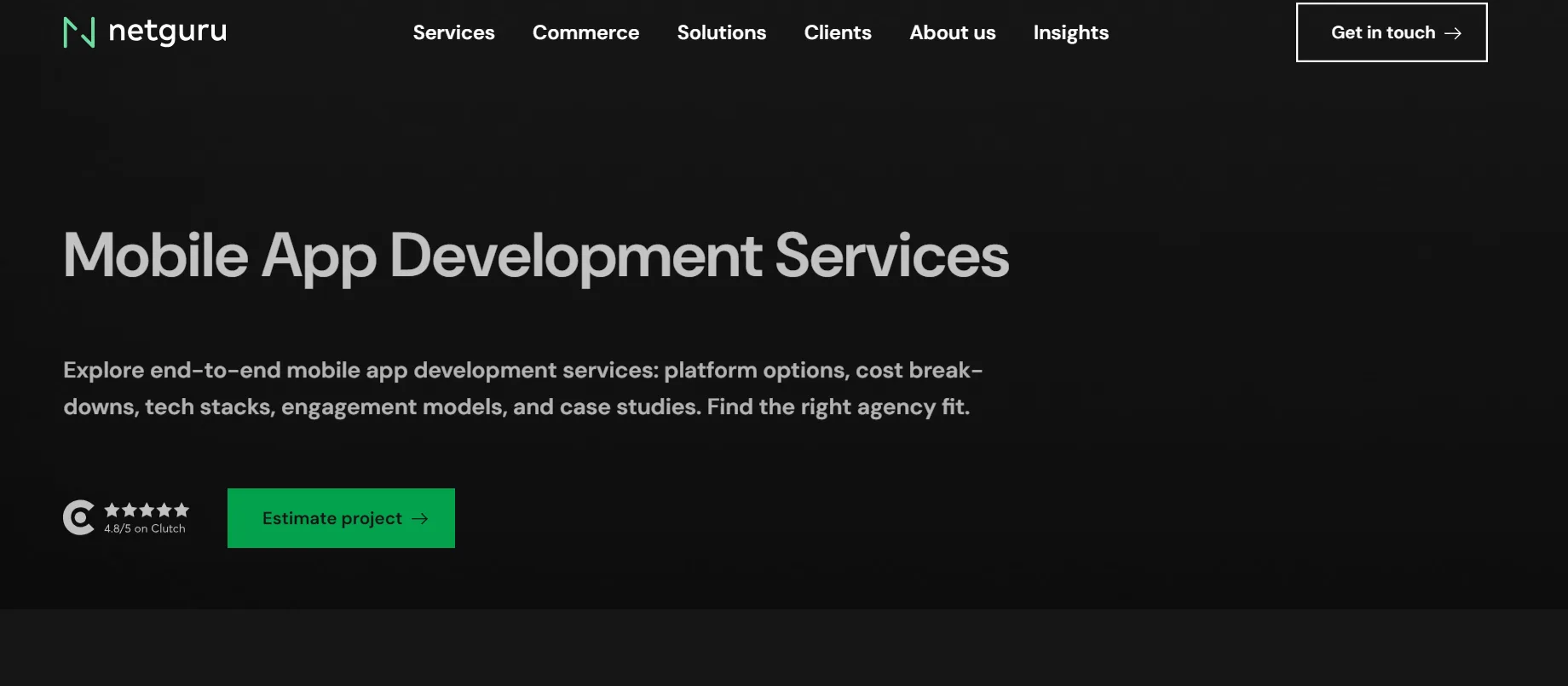 Netgure webpage